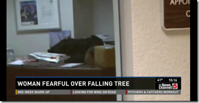 Woman Fearful Over Falling Tree