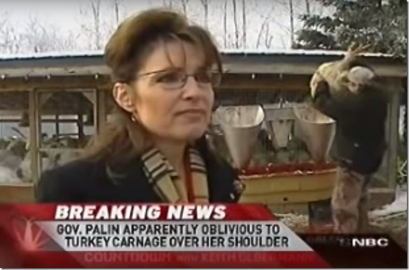 Sarah Palin Turkey