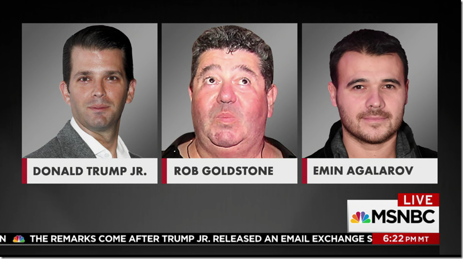 Bad Goldstone Photo MSNBC3