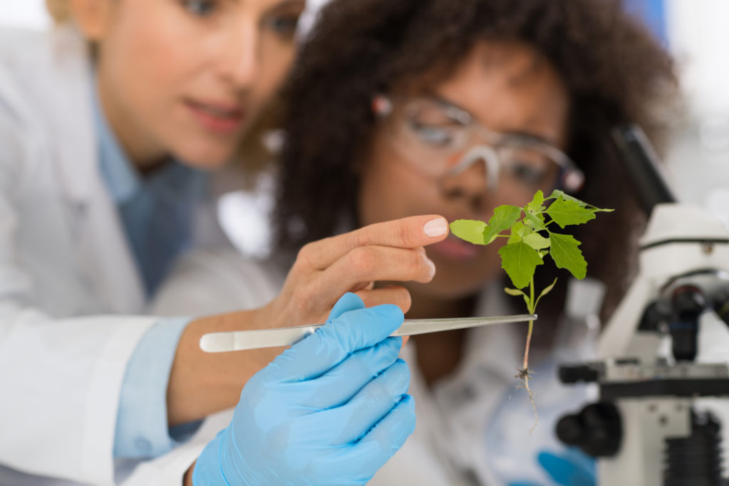 Female scientists examine plant in laboratory