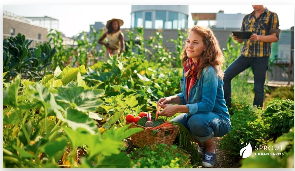 A picture of a flourishing garden