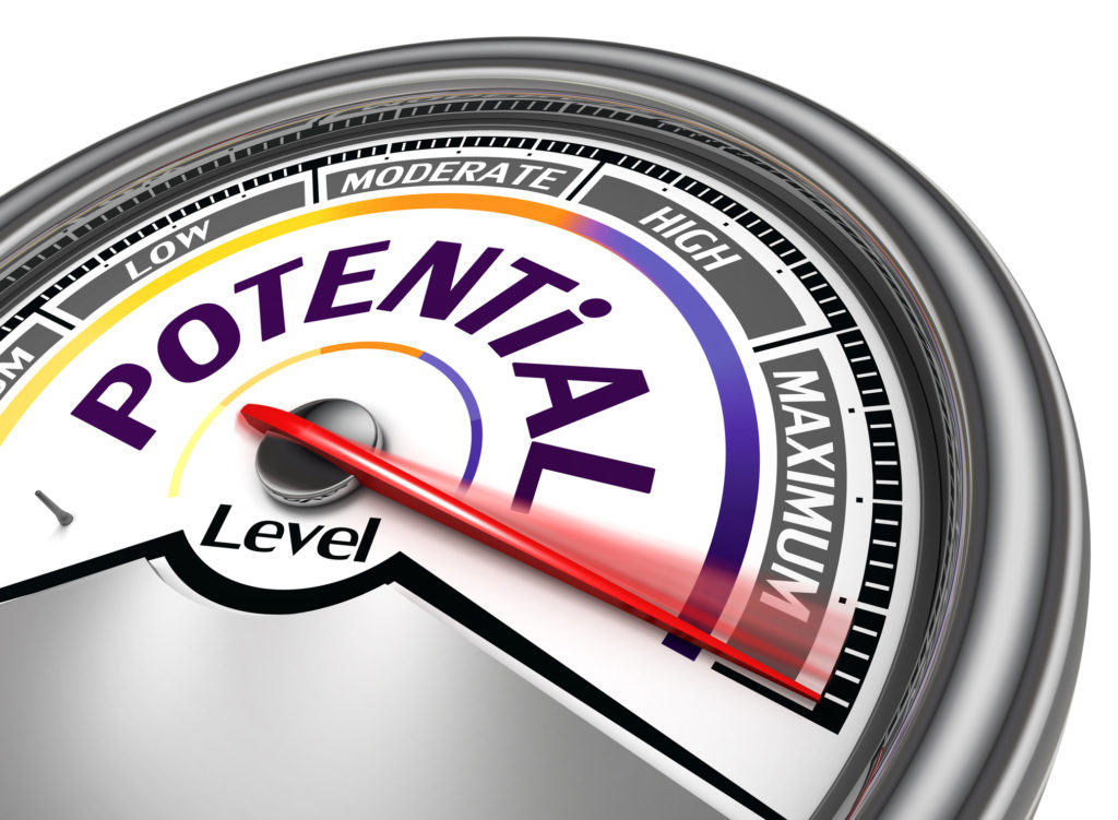 potential level conceptual meter